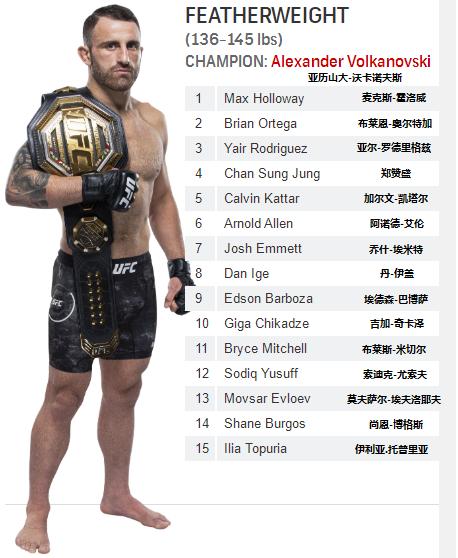 ufc最新排名,UFC最新排名，深度分析与观点阐述