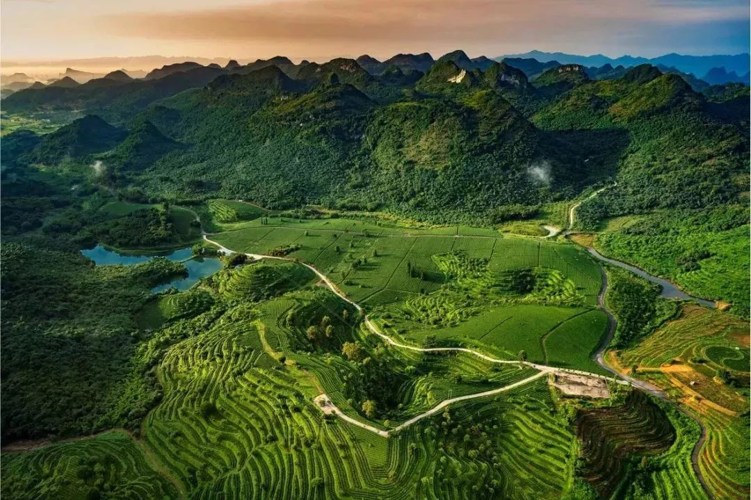 威创股份最新动态，自然美景探索之旅启动