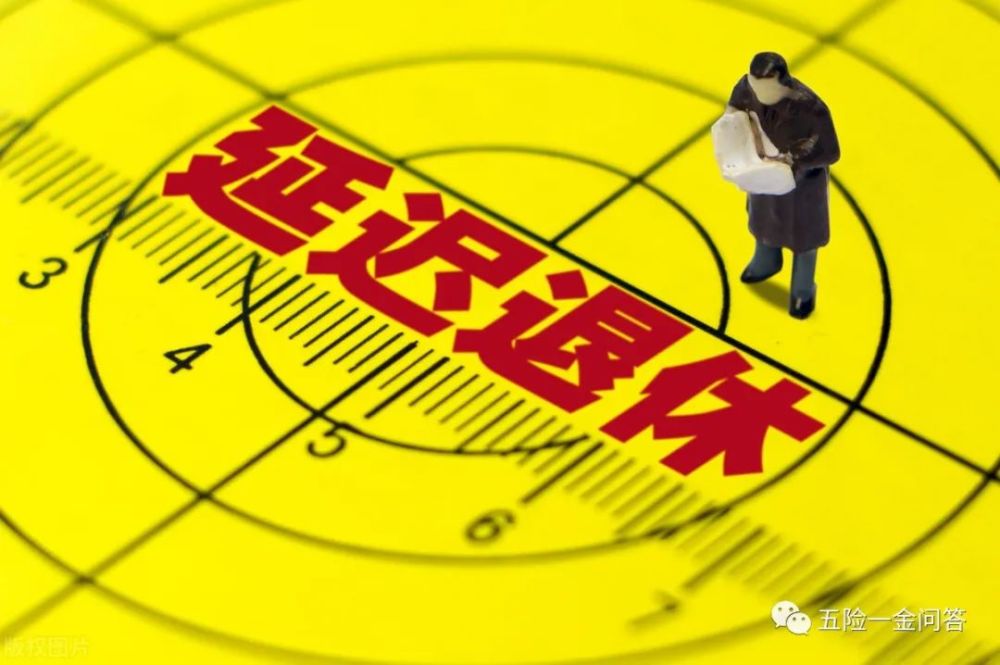 步骤指南与初学者进阶指南