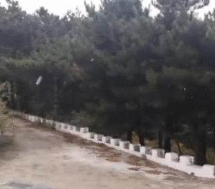 强冷空气最新动态