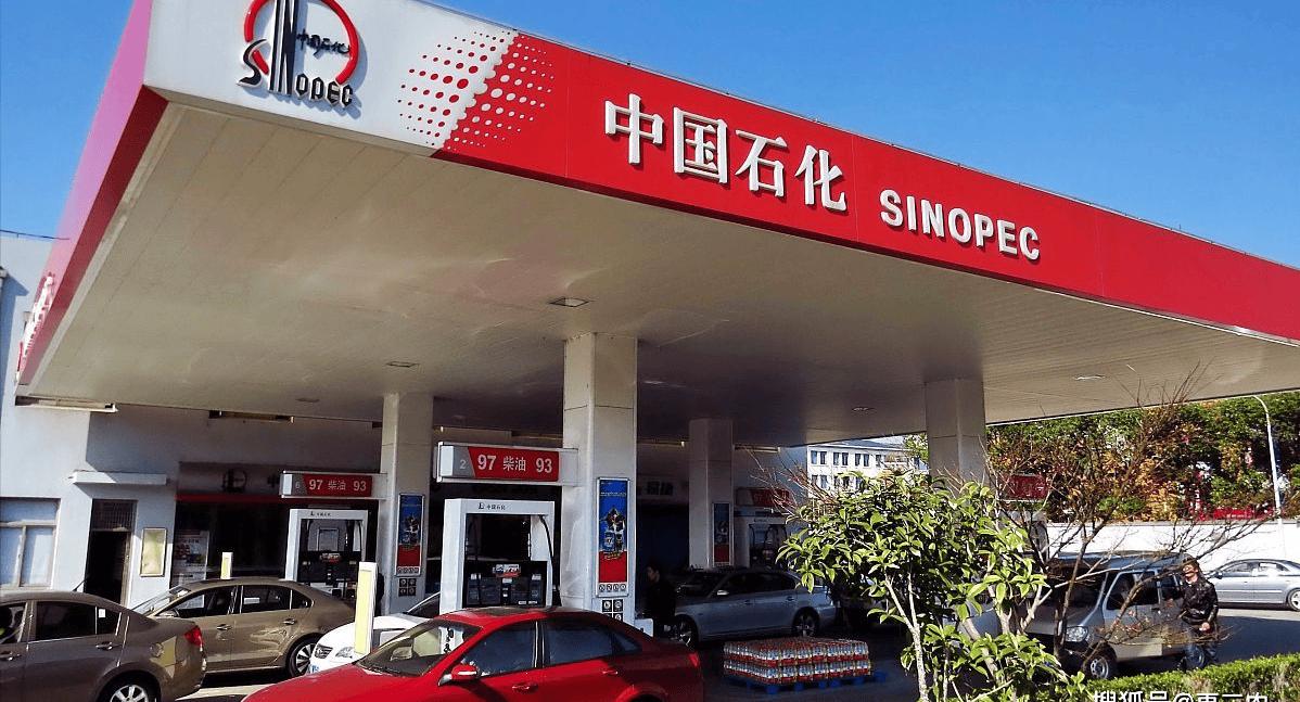 最新猪价概览