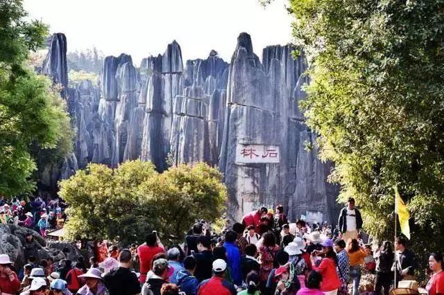 最新猪价格及今日猪价格表，自然美景探索之旅