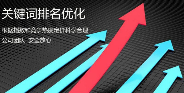 揭秘SEO快速排名最新策略，领跑搜索引擎的排名提升秘籍！