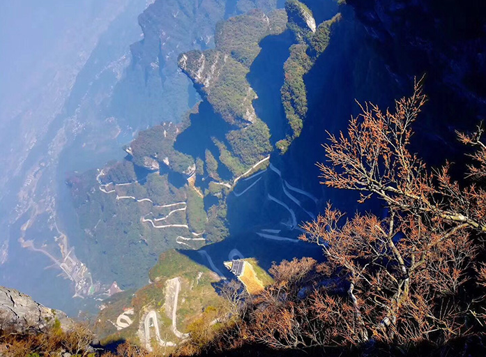 辽宁新冠疫情最新动态与心灵之旅，自然美景探寻内心平和宁静之道