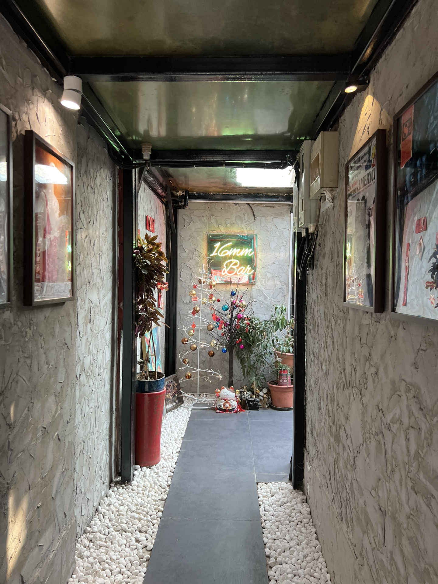 新冠最新动态与巷弄深处的独特小店探秘
