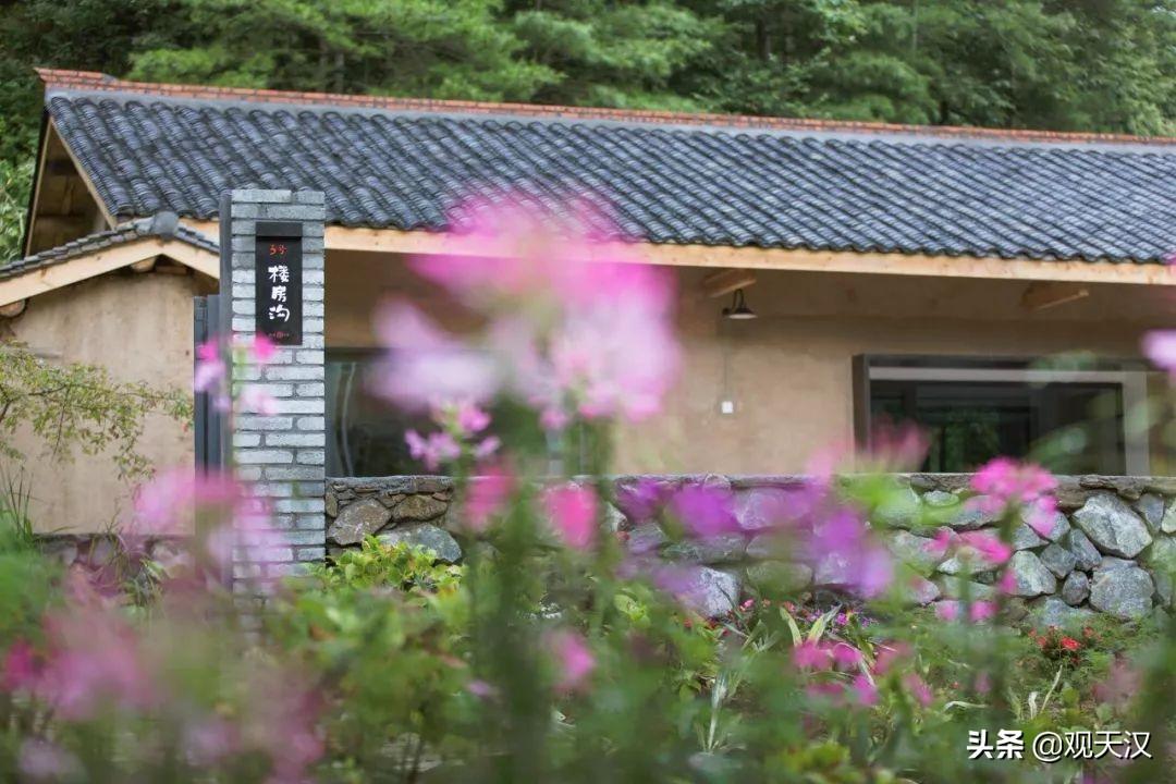 自然美景的心灵之旅，探索最新和平的挂挂之处