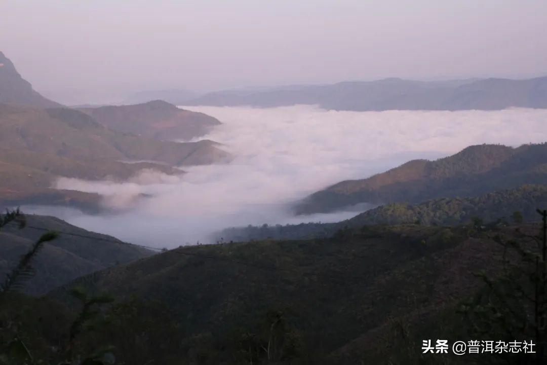 小巷惊喜发现