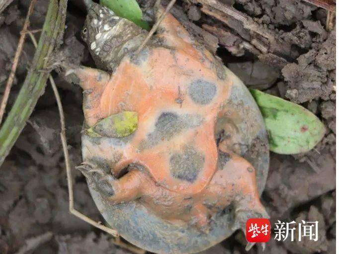 生物技术新潮流领袖