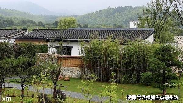 最新动态观点阐述