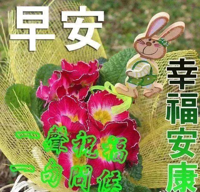 图片集锦