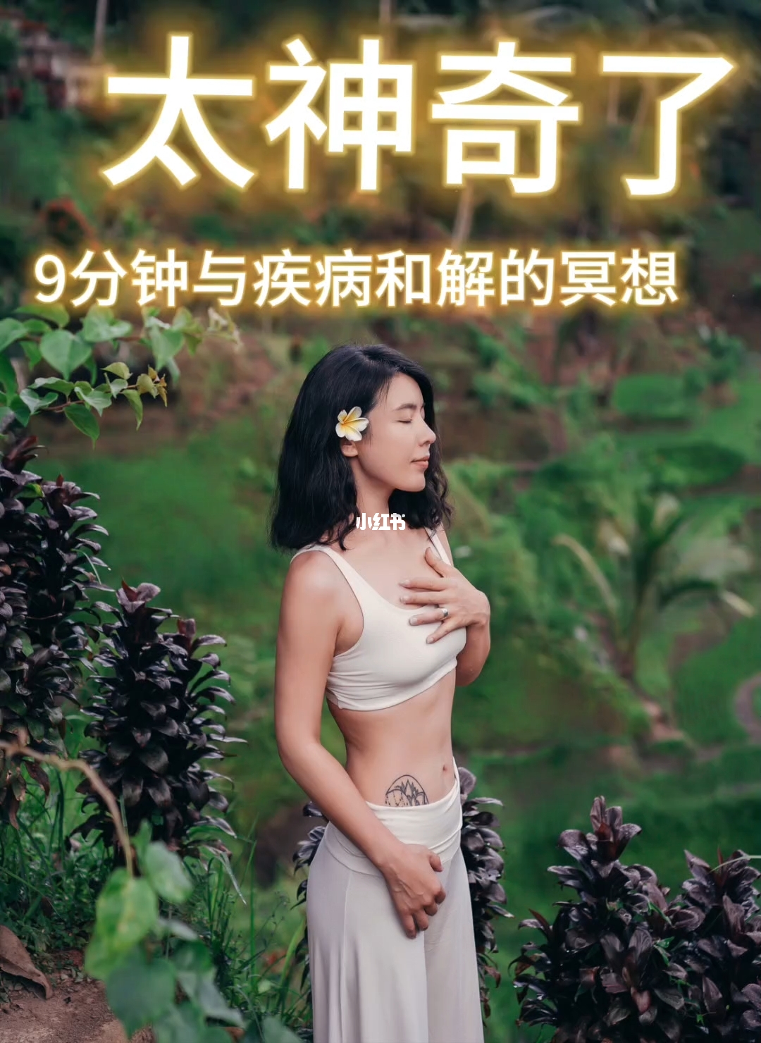 后宫医祸最新