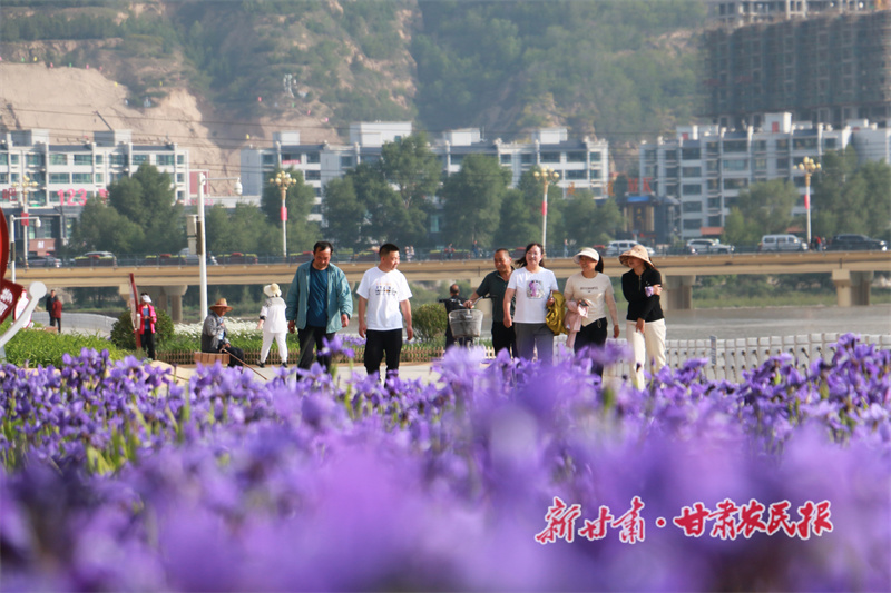 岷县最新花卉资讯
