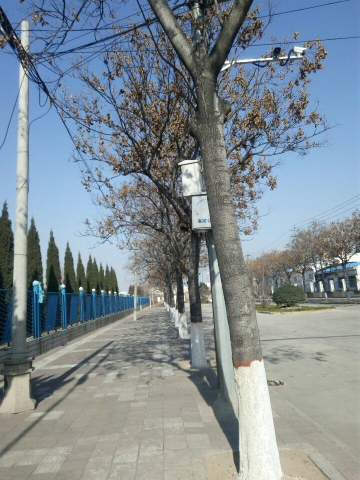 高陵最新天气