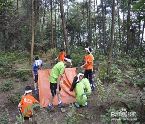 绳结最新版，自然美景探险之旅启动