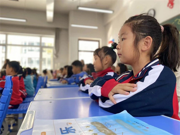 张最新老师的教学风格，深度剖析及其影响
