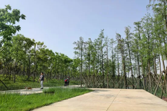 HDPE双壁波纹管 第187页