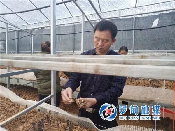 罗甸最新钓鱼棚