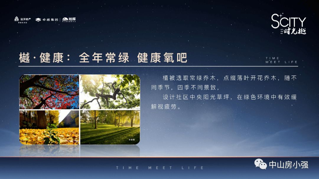 深度解析与期待热议