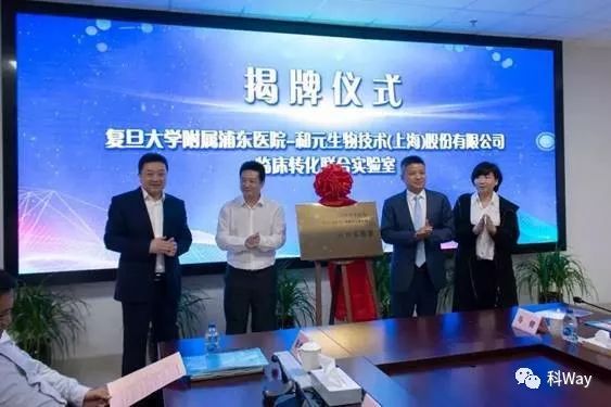芯原股份最新动态，友情与陪伴的温馨故事展开篇章