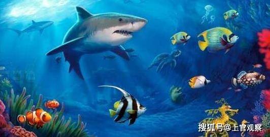 陆行鲨