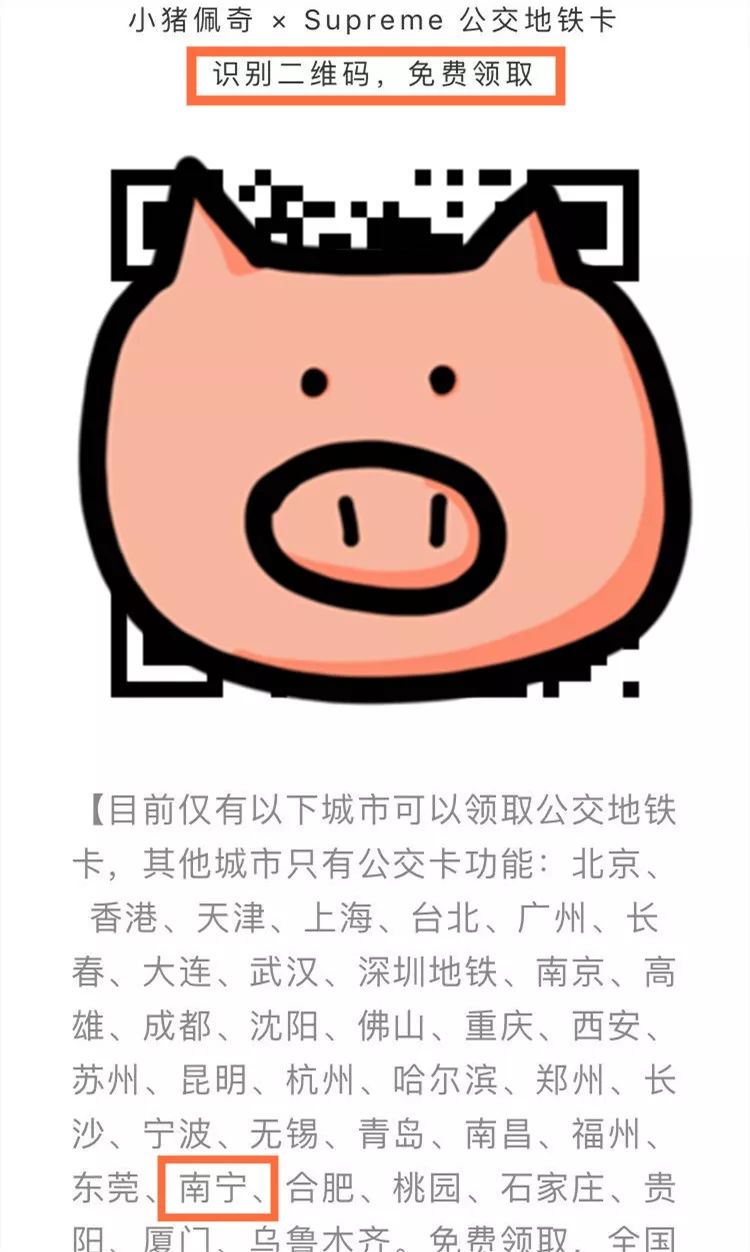 卡哇猪最新高科技产品