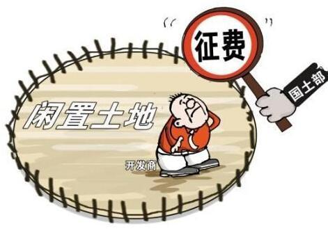 最新土地闲置政策详解及概述