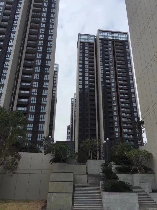 深圳统建楼最新动态揭秘，发展、趋势与深度了解