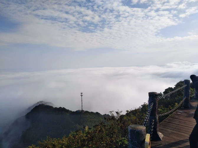 沂南最新天气，阳光下的励志之旅启航
