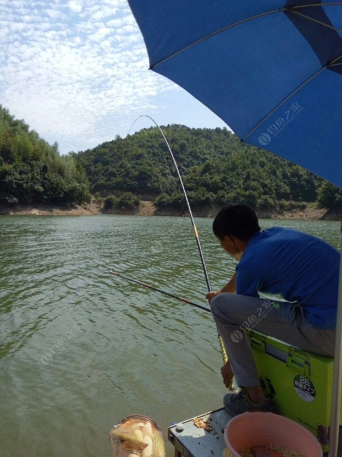 钓鱼之旅