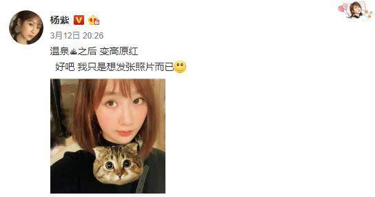 如何成为明星粉丝群体中的佼佼者，揭秘粉丝最多的明星背后的秘密策略