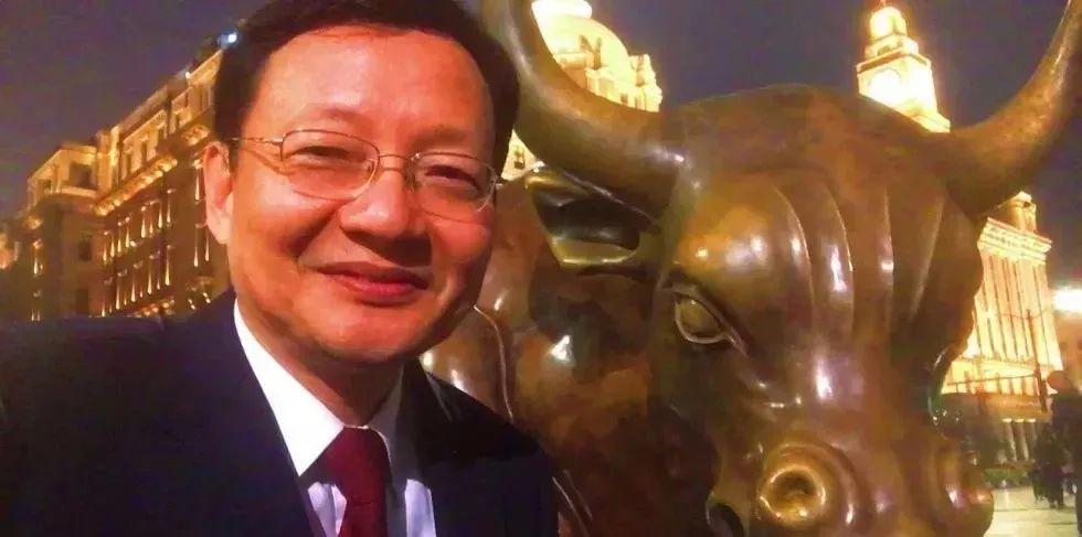 李大霄最新观点详解，理解与应用指南