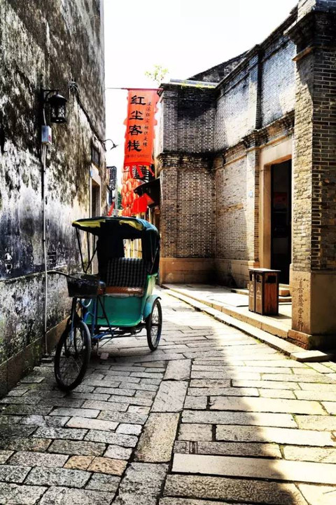 商丘土豆行情