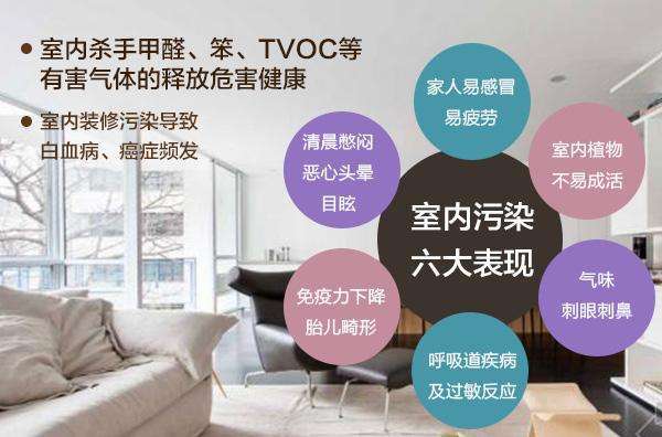 最新科技助力清除甲醛