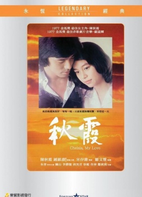 光影交织