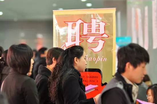 最新招聘资讯，爱与陪伴的求职奇遇之旅