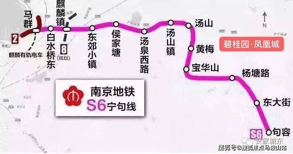 太和最新资讯