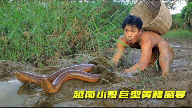 美味与健康并存的佳肴