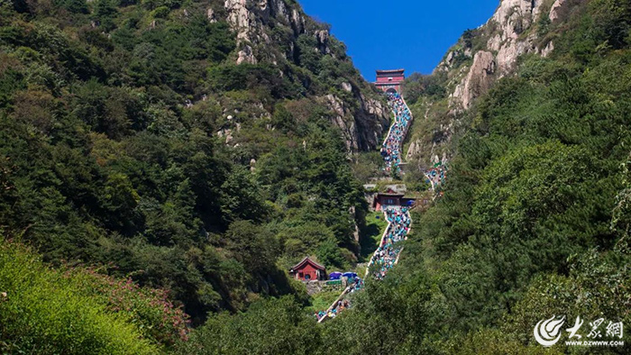 泰山东岳劳务动态深度解析与观点阐述