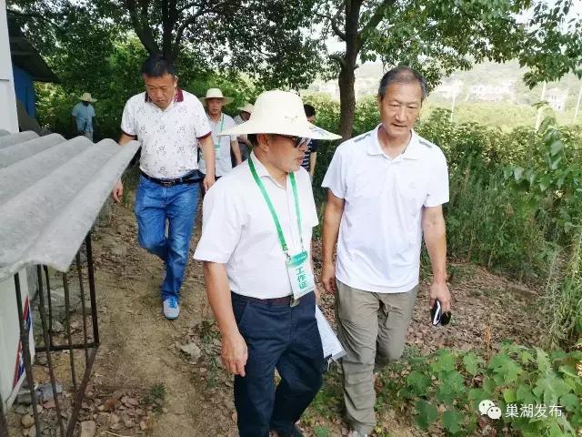 进展与影响
