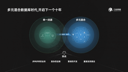 时代背景下的市场焦点，江团最新报价速递