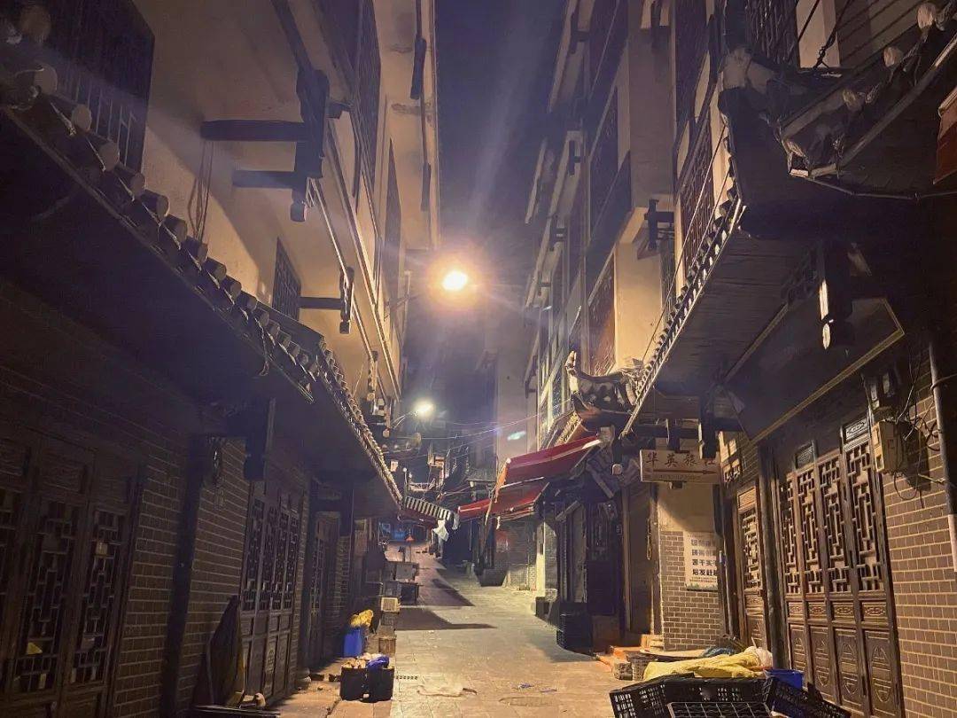 巷弄深处的神秘小店，最新完结小说中的惊喜探索
