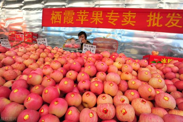 今年苹果行情深度解析，价格走势一网打尽🍎📊