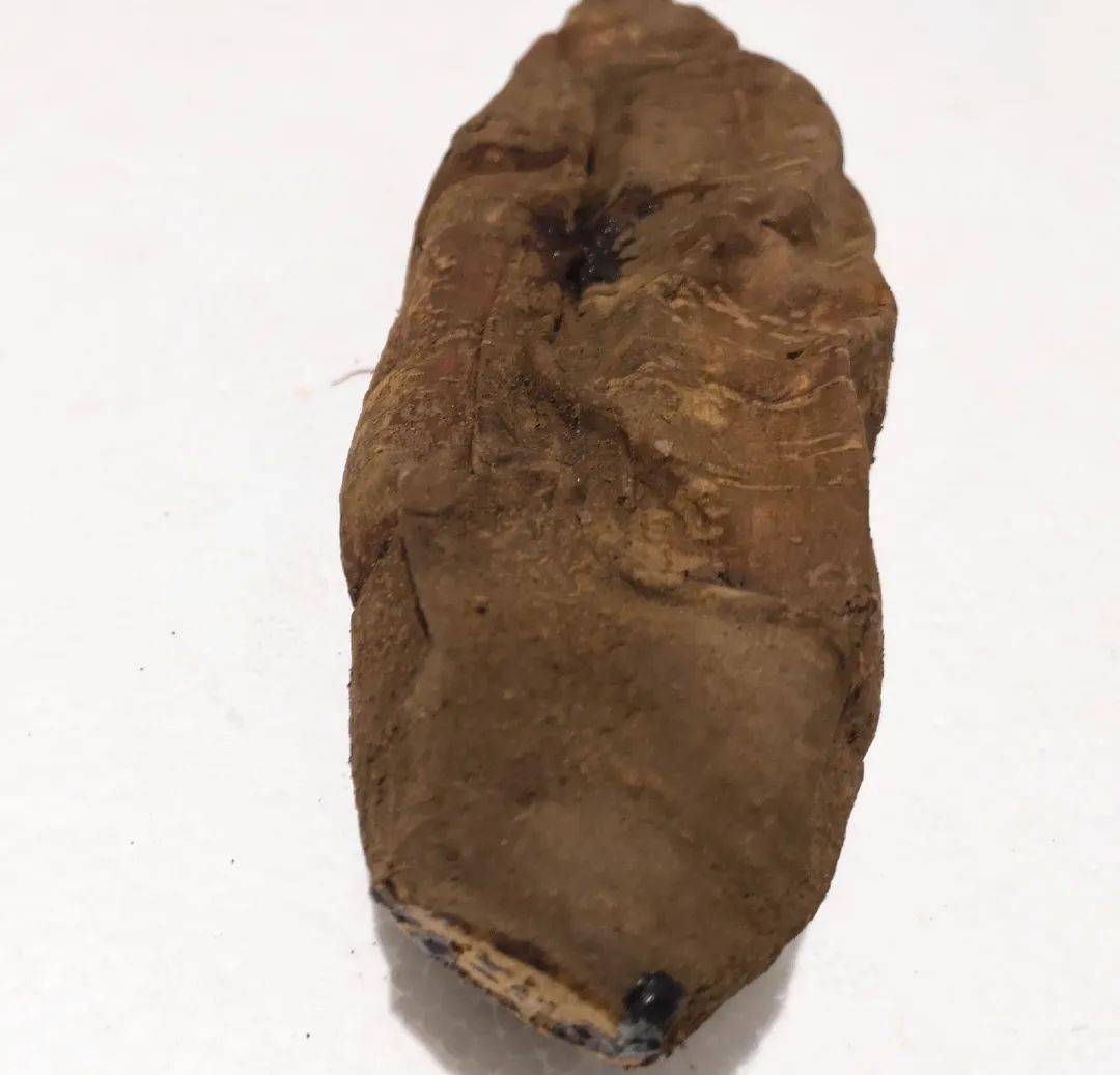 运宝高速最新动态