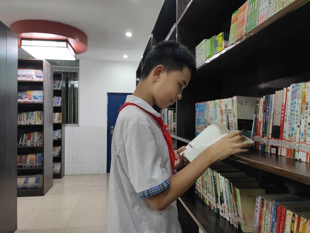 最新小说排行榜推荐，书香友情与温馨日常的温馨之旅