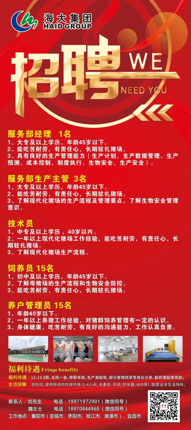 东胜最新招聘信息，启程探索自然美景，寻找内心平和的职场之旅