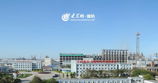 山东海化最新消息,山东海化最新消息——全面了解与参与指南