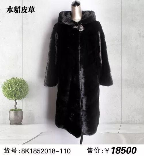 貂最新价格,貂最新价格，全面指南与步骤详解