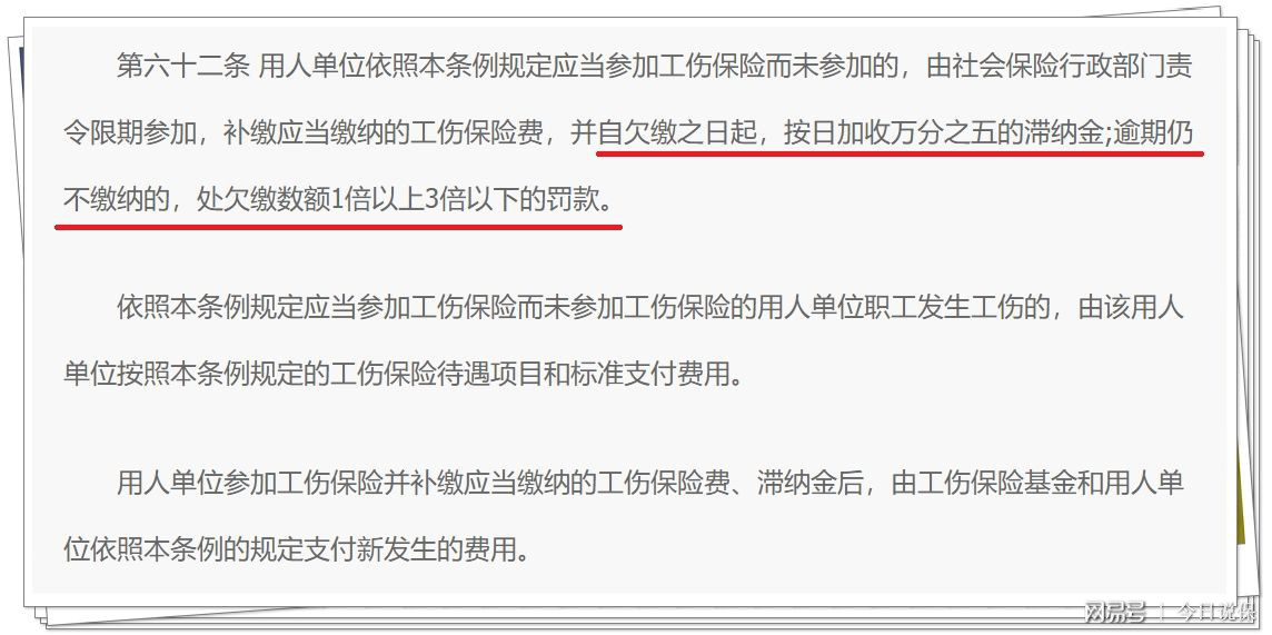 意外伤害赔偿标准最新解读与探索自然美景之旅的心灵宁静