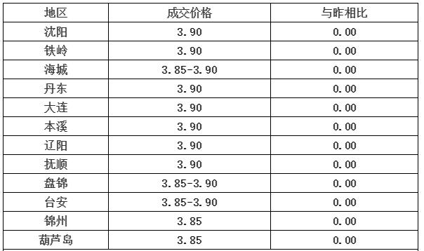友情与陪伴的温馨故事