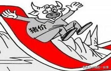 时代背景下的审视与洞察，最新今日猪价概览